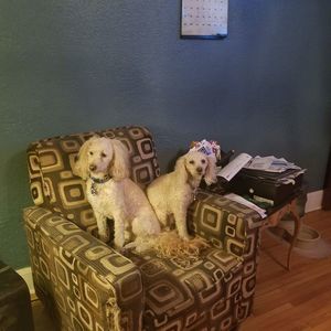 Meet your Posher, Randee